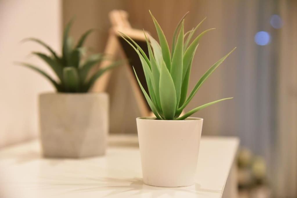 Tiny Treasure Apartment Athena Bagian luar foto